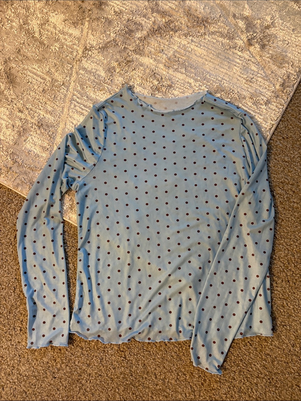 Light Blue Sheer Polka Dot Long Sleeve Mesh Top